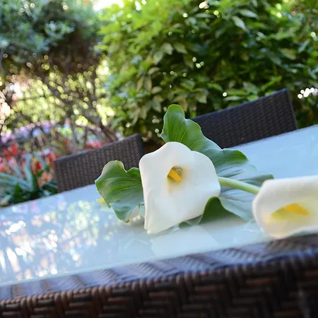 Fiordarancio 3* Borghetto Santo Spirito