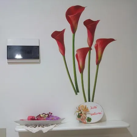 ベッド・アンド・ブレックファスト Fiordarancio