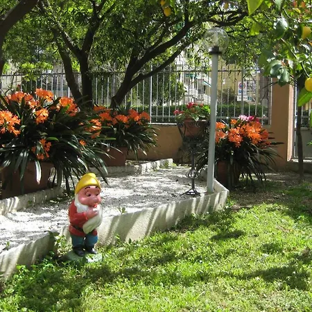 Fiordarancio