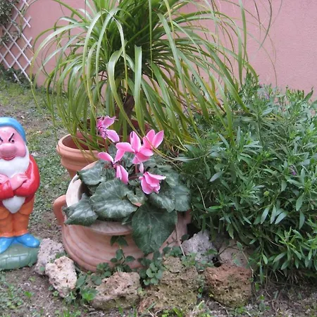 B&B Fiordarancio 3* Borghetto Santo Spirito